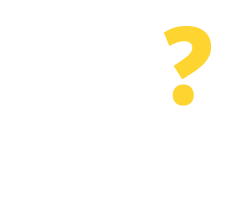 Whydis Logo